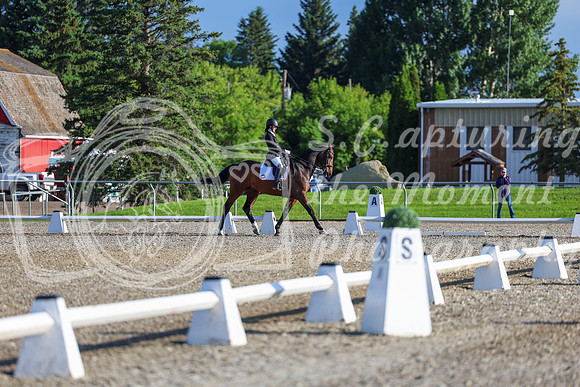 00064 - 2026 Dressage Festival - Sunday July 5th