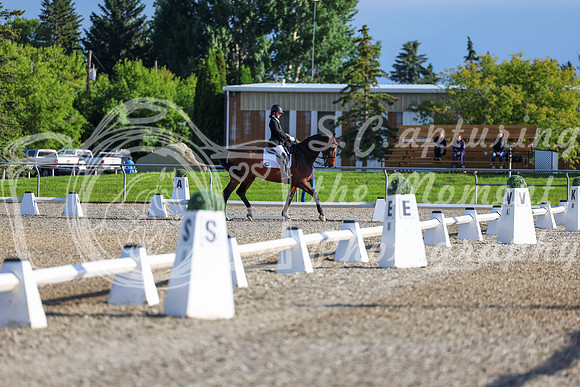 00066 - 2026 Dressage Festival - Sunday July 5th