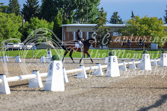 00068 - 2026 Dressage Festival - Sunday July 5th