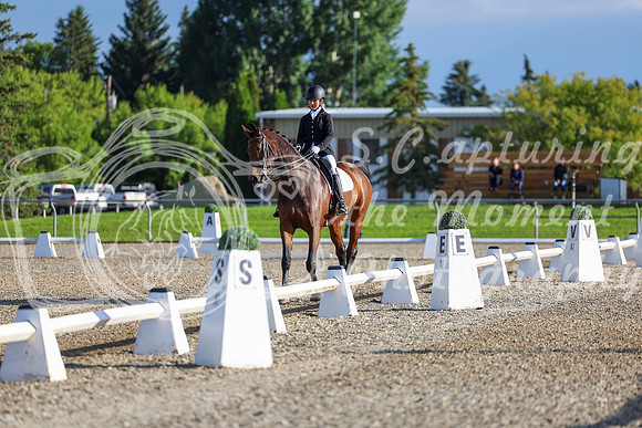 00073 - 2026 Dressage Festival - Sunday July 5th