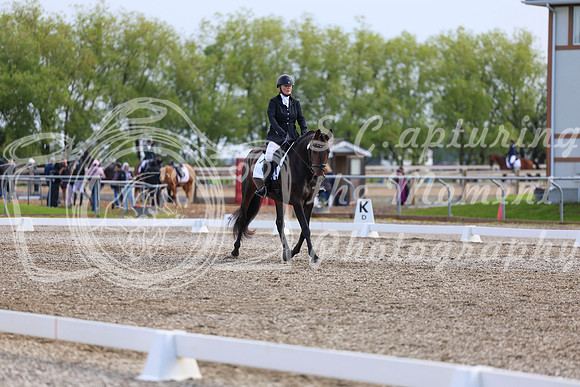 05531 - 2026 Dressage Festival - Sunday July 5th