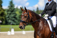 12290 - 2026 Dressage Festival - Sunday July 5th