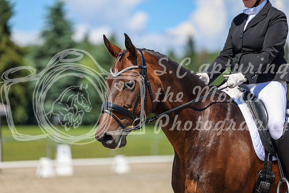 12290 - 2026 Dressage Festival - Sunday July 5th