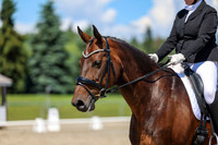 12291 - 2026 Dressage Festival - Sunday July 5th