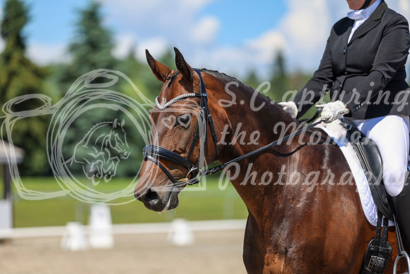 12291 - 2026 Dressage Festival - Sunday July 5th