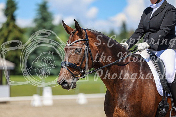 12292 - 2026 Dressage Festival - Sunday July 5th