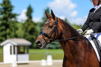 12293 - 2026 Dressage Festival - Sunday July 5th