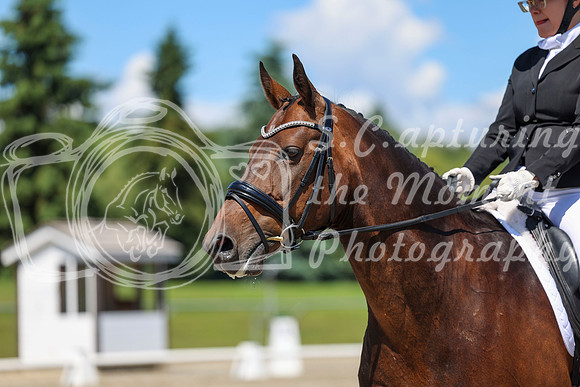 12293 - 2026 Dressage Festival - Sunday July 5th