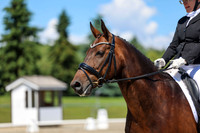 12294 - 2026 Dressage Festival - Sunday July 5th