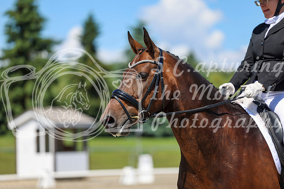 12294 - 2026 Dressage Festival - Sunday July 5th