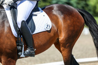 12295 - 2026 Dressage Festival - Sunday July 5th