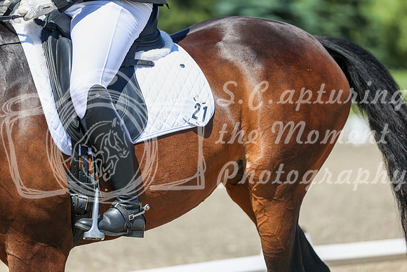 12295 - 2026 Dressage Festival - Sunday July 5th