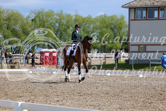 06579 - 2026 Dressage Festival - Sunday July 5th