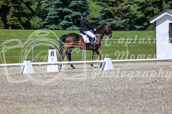 12324 - 2026 Dressage Festival - Sunday July 5th