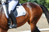 12296 - 2026 Dressage Festival - Sunday July 5th