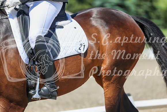 12296 - 2026 Dressage Festival - Sunday July 5th
