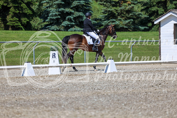 12325 - 2026 Dressage Festival - Sunday July 5th
