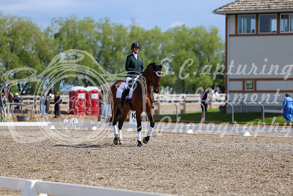 06580 - 2026 Dressage Festival - Sunday July 5th