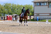 06584 - 2026 Dressage Festival - Sunday July 5th