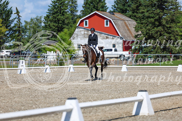 12366 - 2026 Dressage Festival - Sunday July 5th
