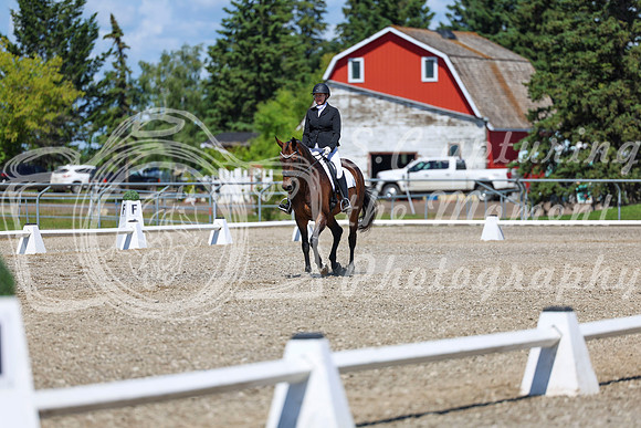 12370 - 2026 Dressage Festival - Sunday July 5th