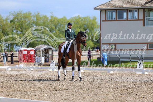 06593 - 2026 Dressage Festival - Sunday July 5th