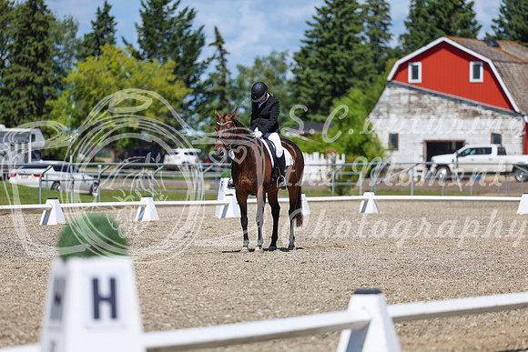12374 - 2026 Dressage Festival - Sunday July 5th