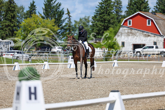 12375 - 2026 Dressage Festival - Sunday July 5th