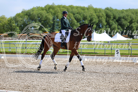 06596 - 2026 Dressage Festival - Sunday July 5th