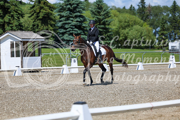 12393 - 2026 Dressage Festival - Sunday July 5th