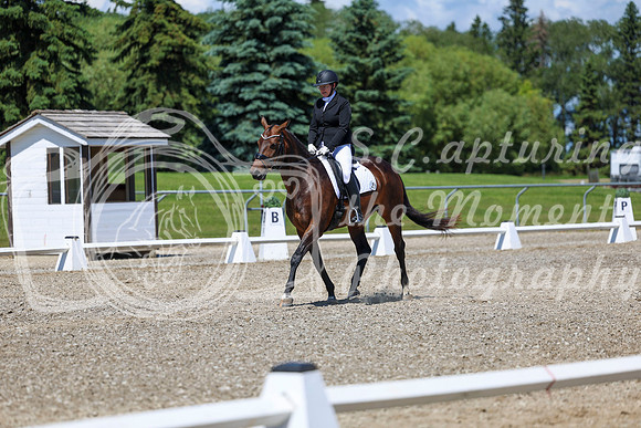 12395 - 2026 Dressage Festival - Sunday July 5th