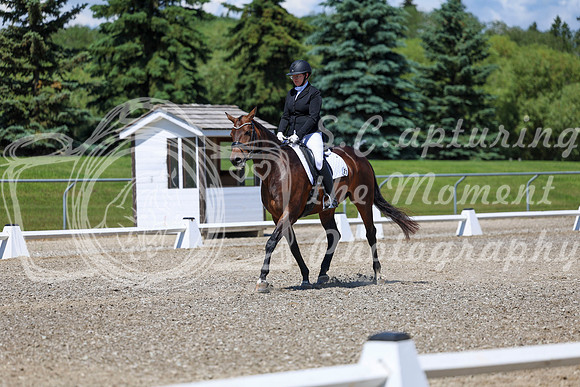 12397 - 2026 Dressage Festival - Sunday July 5th