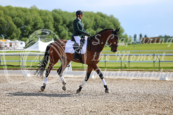 06602 - 2026 Dressage Festival - Sunday July 5th