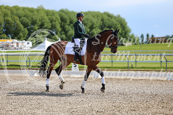 06600 - 2026 Dressage Festival - Sunday July 5th