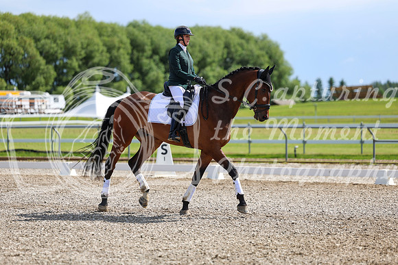 06601 - 2026 Dressage Festival - Sunday July 5th
