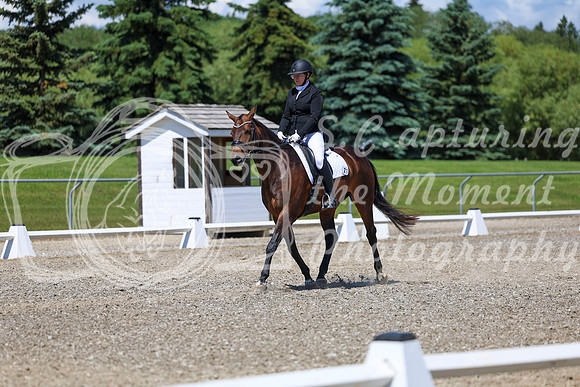 12398 - 2026 Dressage Festival - Sunday July 5th