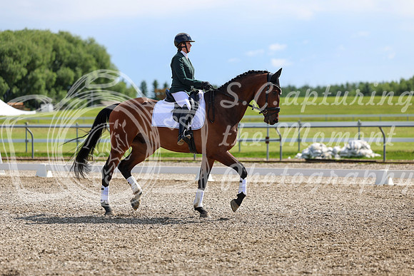 06603 - 2026 Dressage Festival - Sunday July 5th