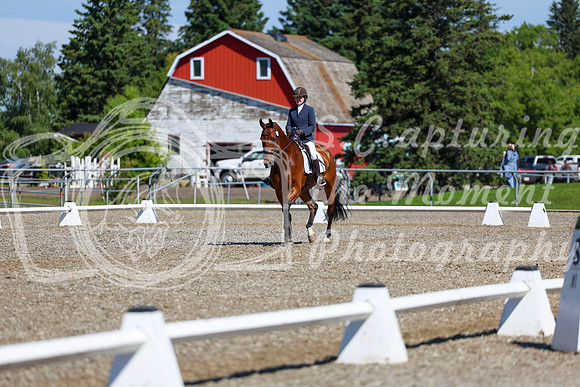 07759 - 2026 Dressage Festival - Sunday July 5th