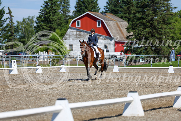 07763 - 2026 Dressage Festival - Sunday July 5th