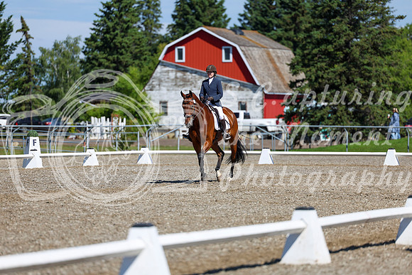 07764 - 2026 Dressage Festival - Sunday July 5th