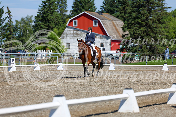 07762 - 2026 Dressage Festival - Sunday July 5th