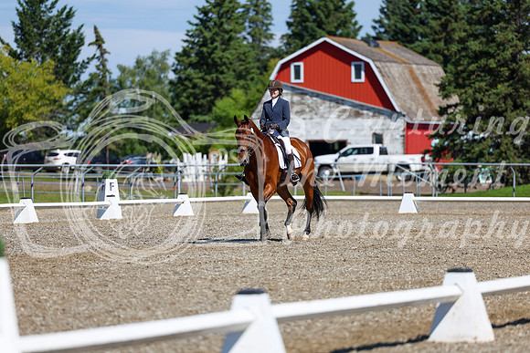 07767 - 2026 Dressage Festival - Sunday July 5th