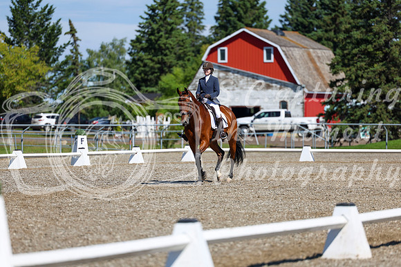 07766 - 2026 Dressage Festival - Sunday July 5th