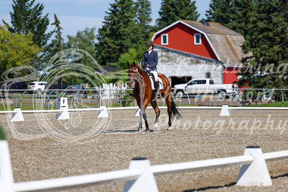 07769 - 2026 Dressage Festival - Sunday July 5th
