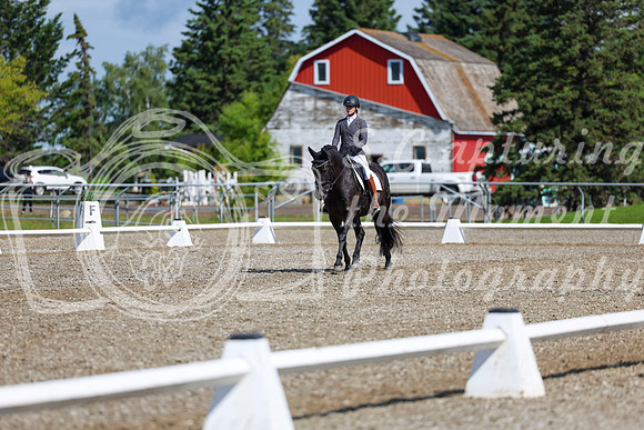 06456 - 2026 Dressage Festival - Sunday July 5th