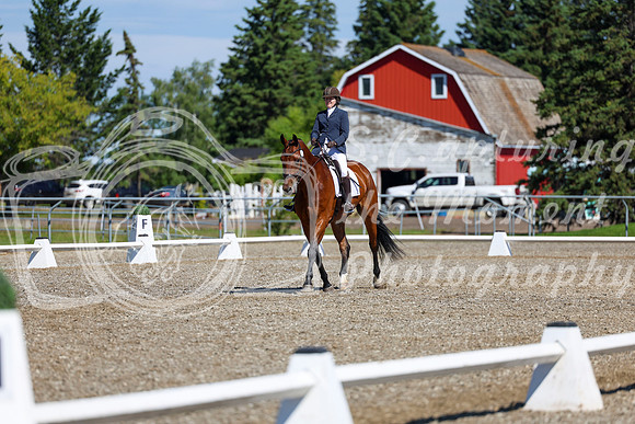 07770 - 2026 Dressage Festival - Sunday July 5th