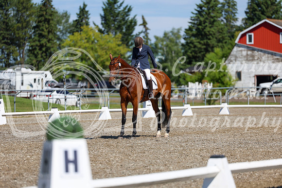 07774 - 2026 Dressage Festival - Sunday July 5th
