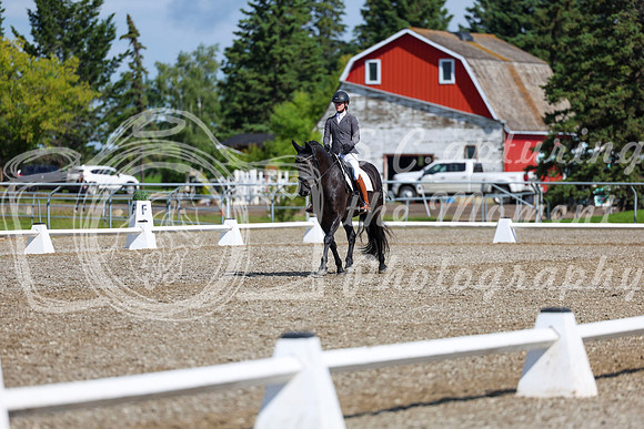 06460 - 2026 Dressage Festival - Sunday July 5th