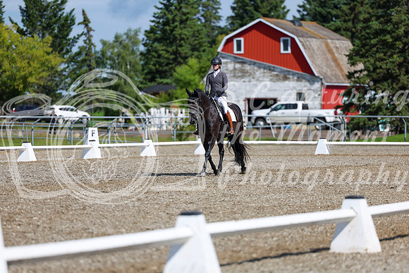 06461 - 2026 Dressage Festival - Sunday July 5th