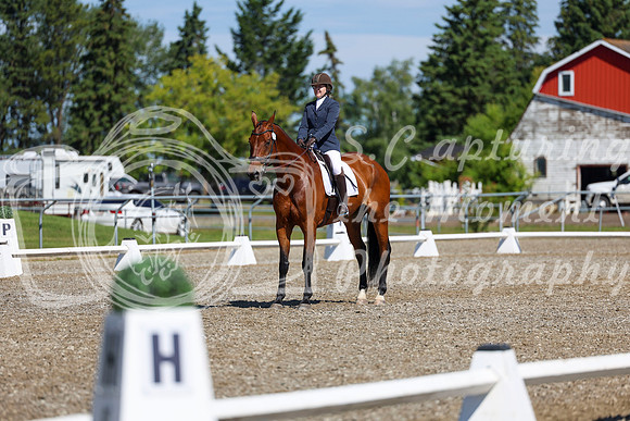 07777 - 2026 Dressage Festival - Sunday July 5th